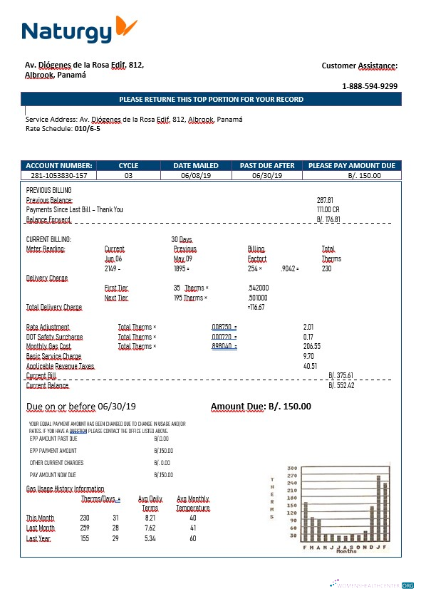 download download Panama Naturgy electricity company in Word format